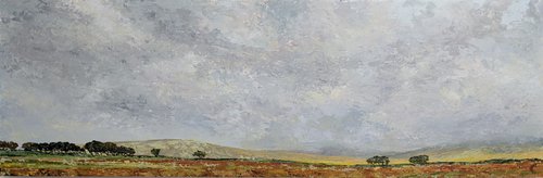 A Slice of Dartmoor by Katy Stoneman