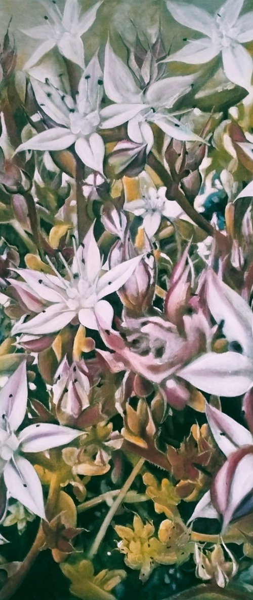 Choir of petals by Irina Dmitrieva