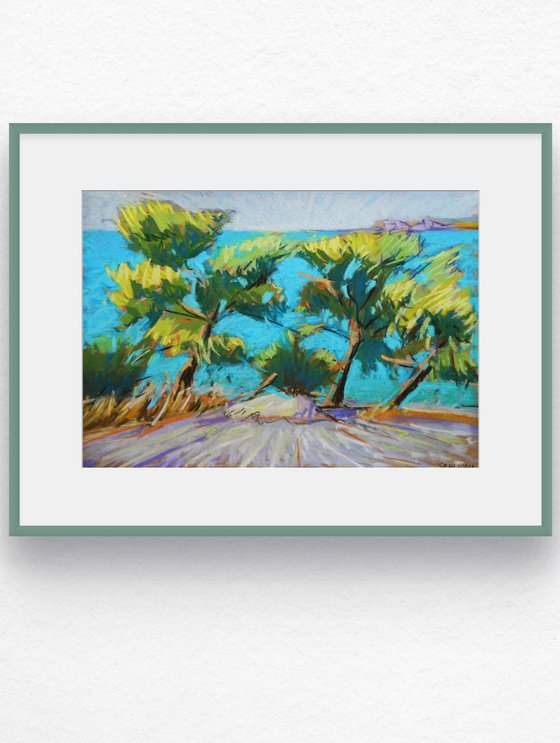 Mediterranean afternoon. Pines