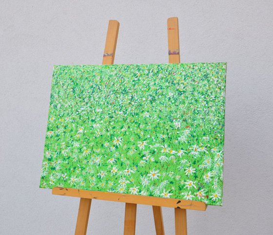 Daisies In The Grass acryl