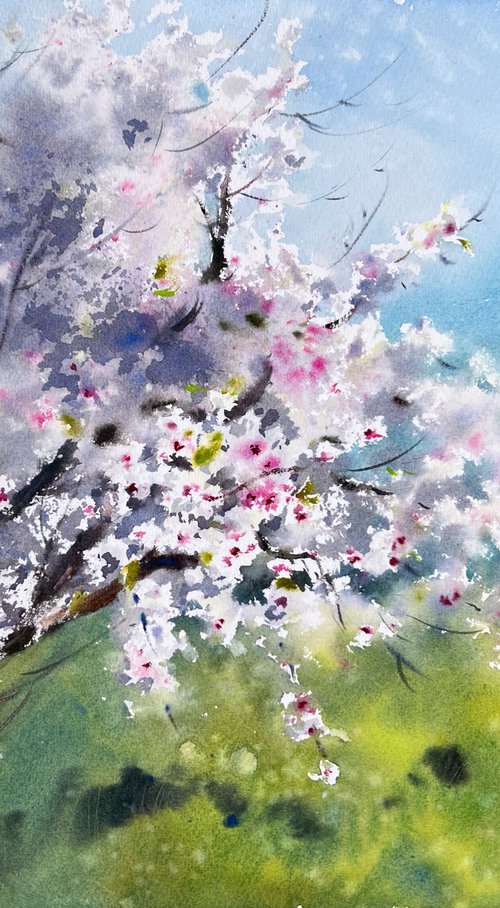 Blooming almond tree by Eugenia Gorbacheva