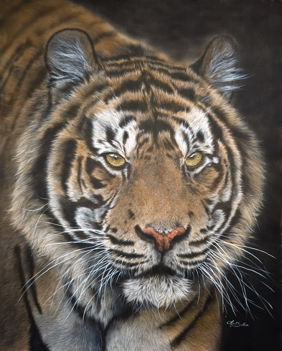 Photorealistic Animal Painting By Olga Belova, 20 X 26", - Power - ?, Original Artwork