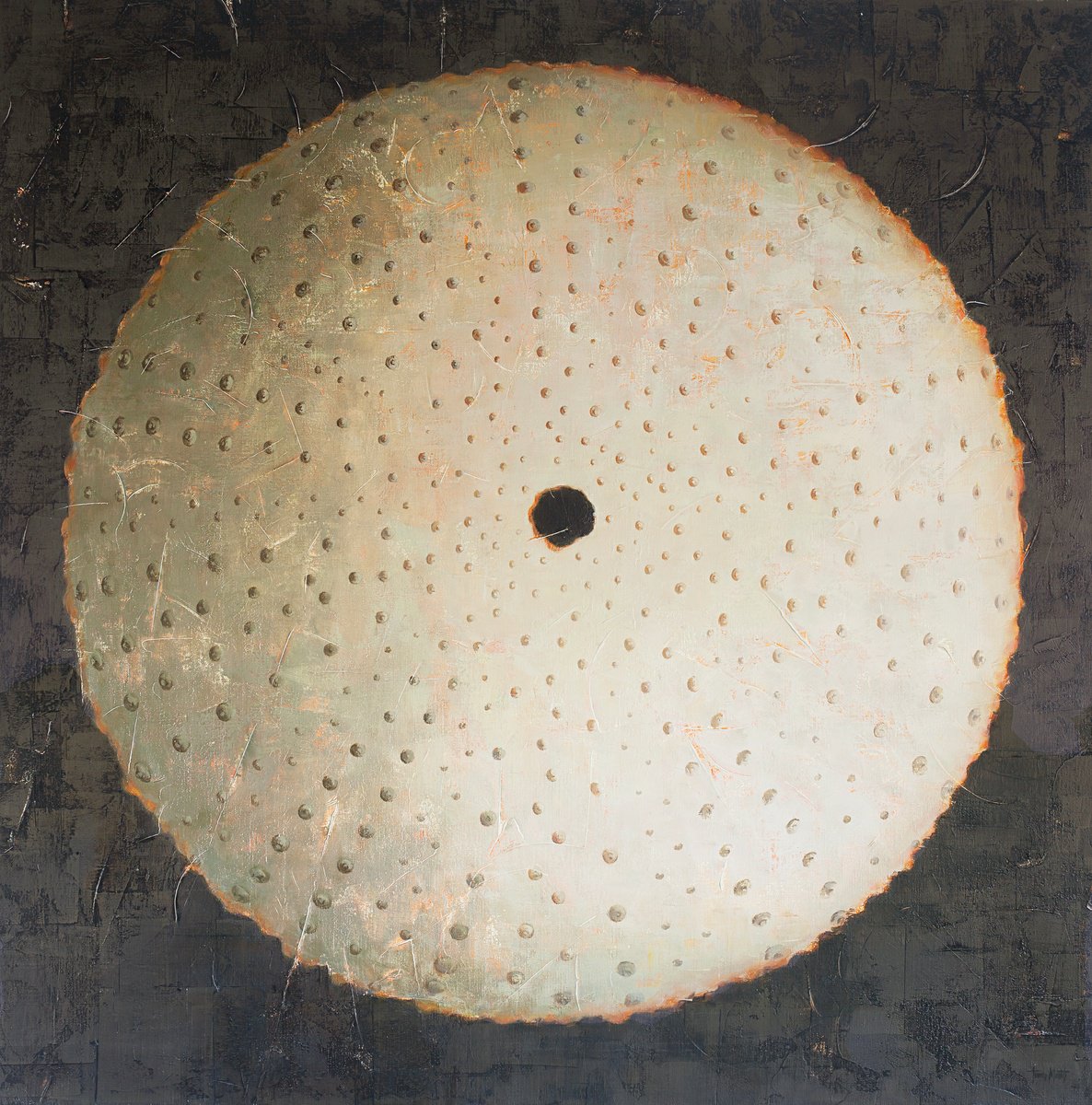 Illustrative Animal Oil Painting By Tomasa Martin, 39 X 39", Erizo De Mar Ii, Original Artwork