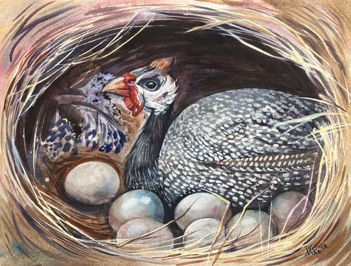 Guinea fowl in the nest. by Natalia Veyner