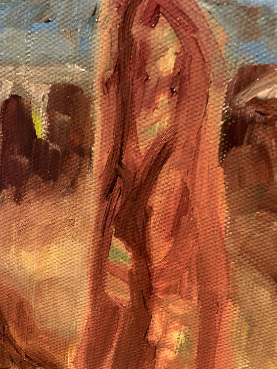 Canyon Study