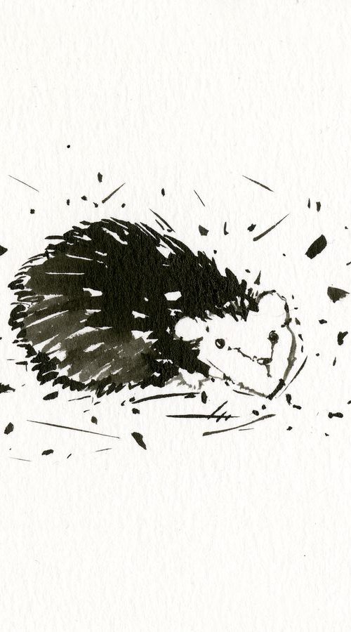 Adorable Hedgehog 3 - Small Minimalist Ink Illustration by Kathy Morton Stanion by Kathy Morton Stanion