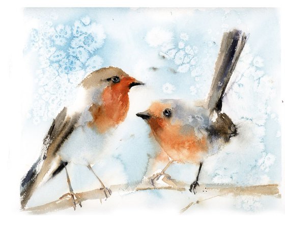 Robin Birds Couple