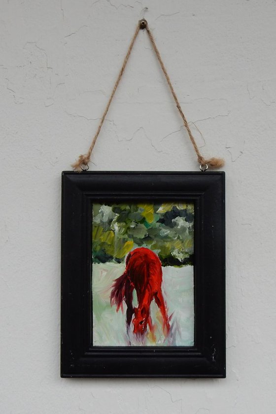 Red horse in a field. small framed painting.