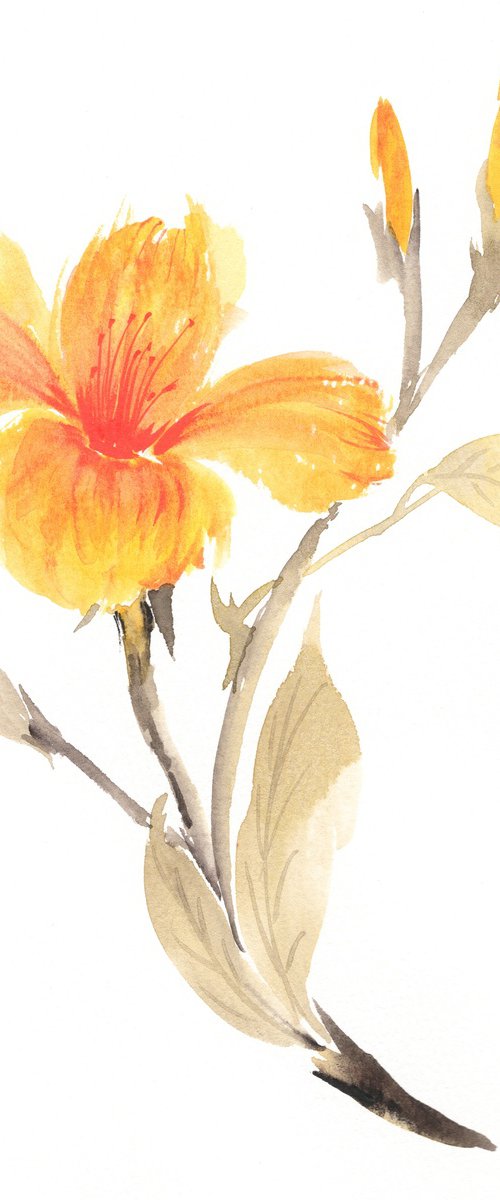 Golden Hibiscus Glow by Hai Doan
