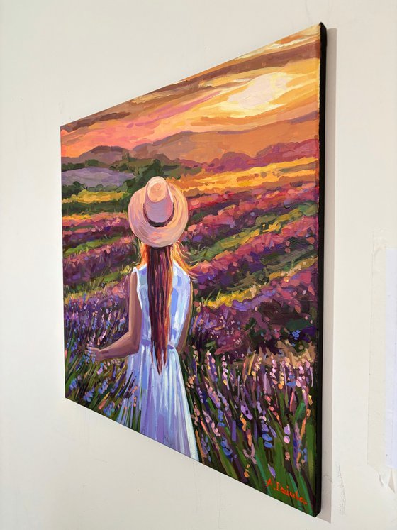 Lavender Fields of Valensole