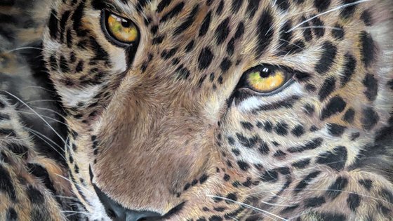 Leopards Gaze II (Original Painting)