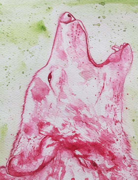 Howl. Watercolour Wolf on A4 sized paper.
