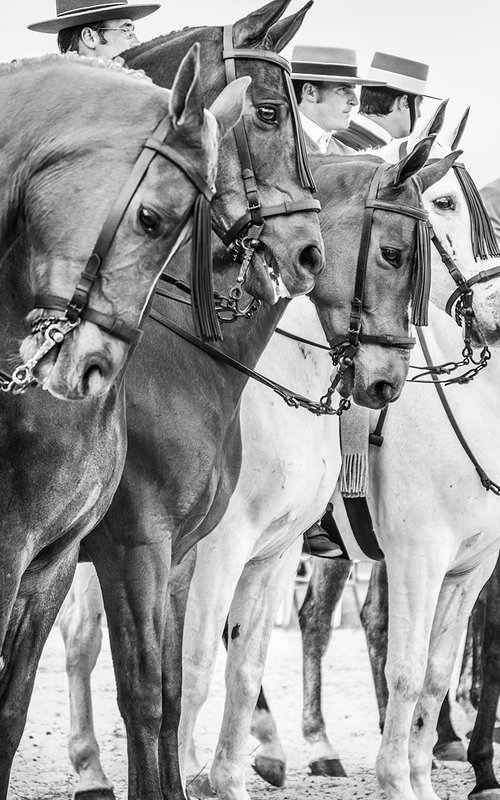 The Line Up by Andrew Lever