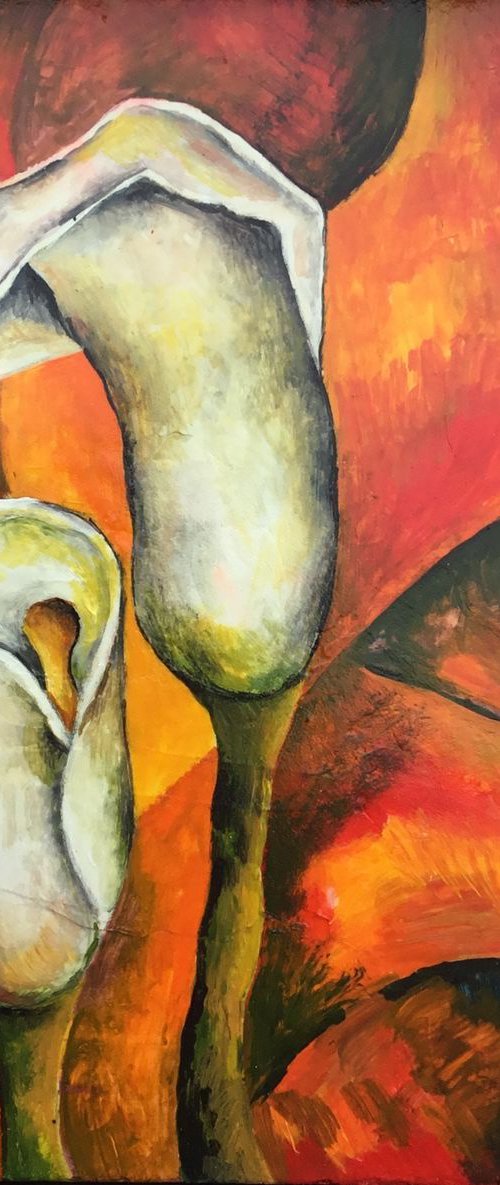 Calla lilies n.3 by Jg Wilson