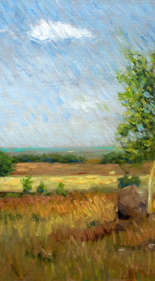 Impressionist field and trees in English landscape, Leicestershire by Gav Banns
