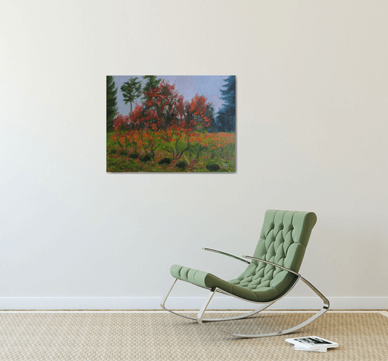 Autumn Landscape