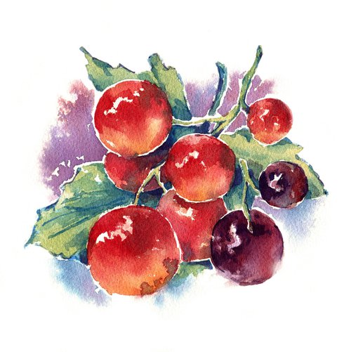 "Currant" from the series of watercolor illustrations "Berries" by Ksenia Selianko