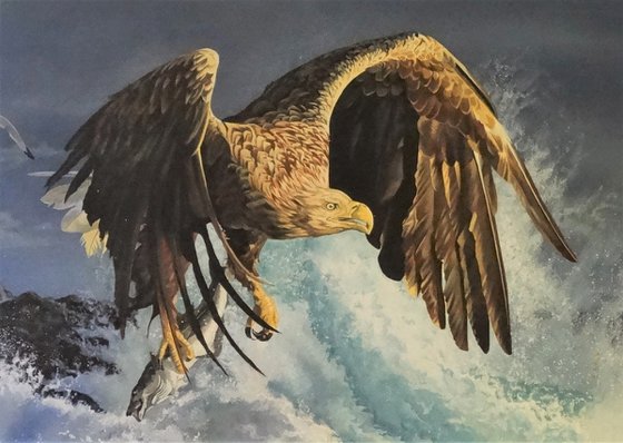 Sea Eagle