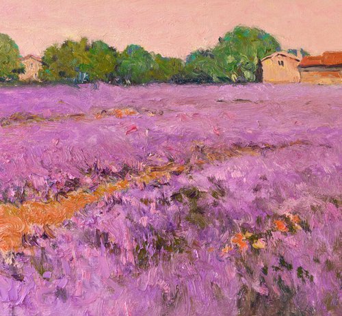 Lavender Field, French Villa by Suren Nersisyan