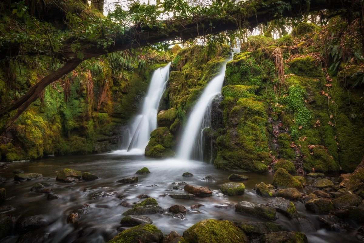 River Dart near Venford Reservoir Dartmoor Double waterfall (Ventford Brook) by Paul Nash