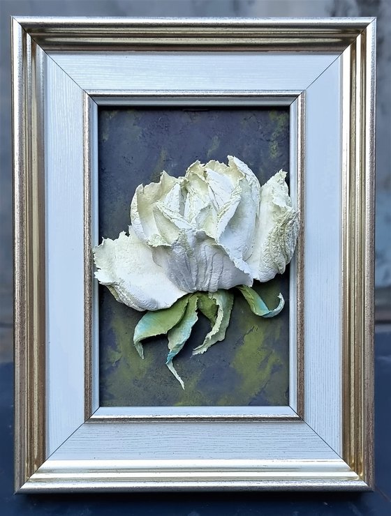 Relief painting with white-green rose on a dark backgroud. Framed. The Rose Portrait. 16x21x5cm