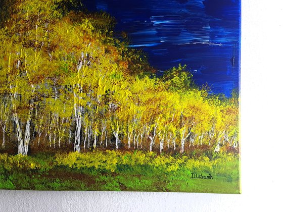 Autumn birch forest