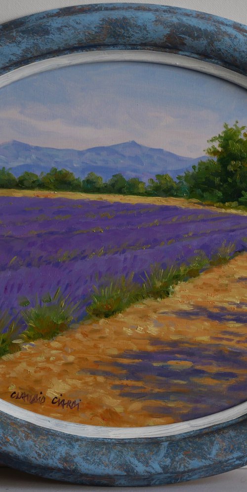 Lavander fields in Provence by Claudio Ciardi