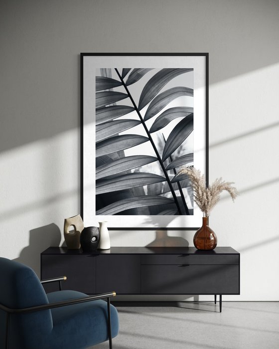 Between Fronds