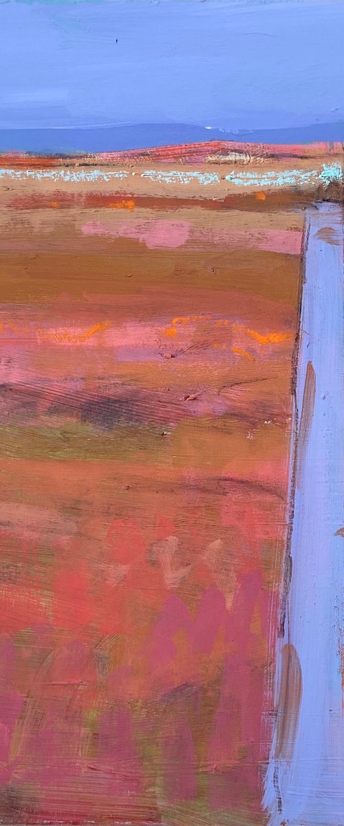 Warm Land by Chrissie Havers