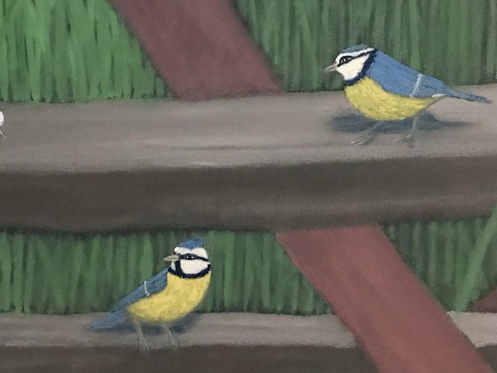 BIRDS OF A FEATHER
