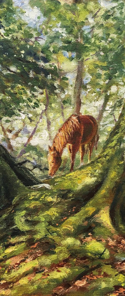 Mid Summer in Old Woodland by Peter Frost