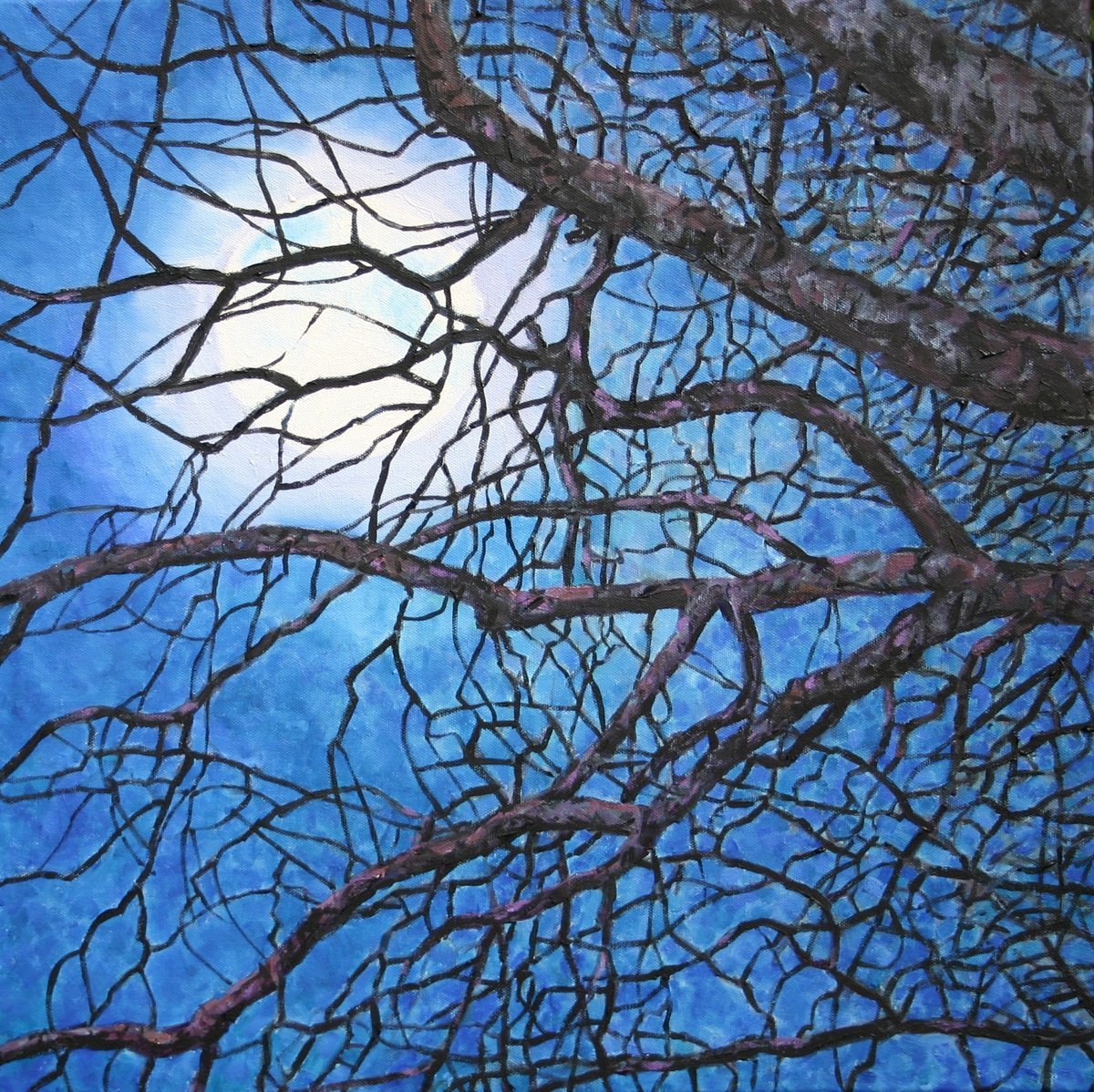 Moon Light By Zoe Elizabeth Norman, 20 X 20, Artwork For Sale On Artfinder