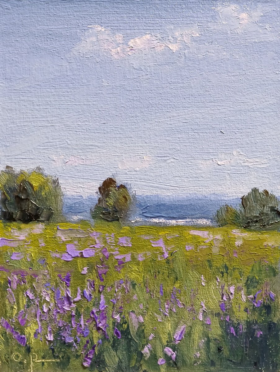 Impressionistic Landscape Oil Painting By Oleh Rak, 6 X 8", Impression. Blooming Distance, Original Artwork