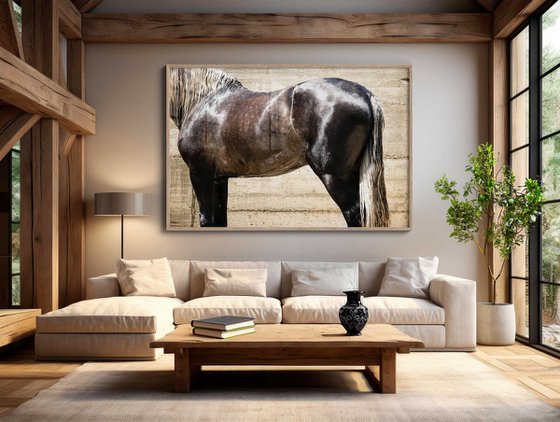 ANDALUCIAN STALLION
