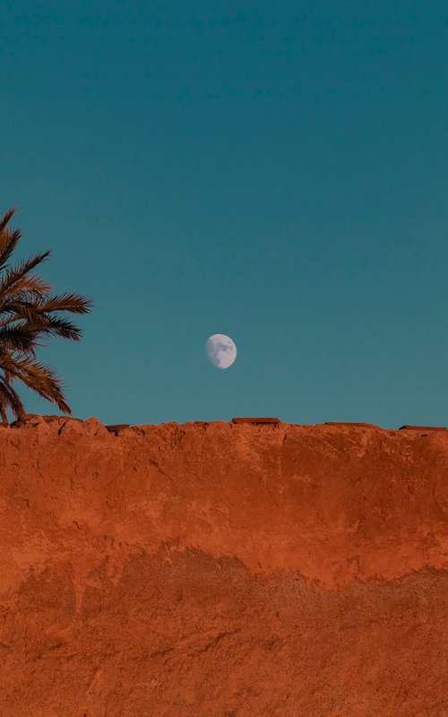 Lune et palmiers by Lionel Le Jeune