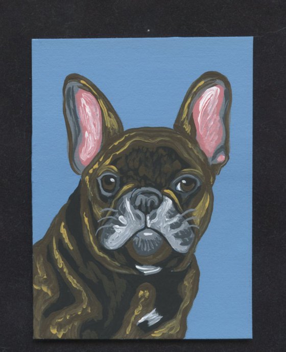 ACEO ATC Original Miniature Painting Brindle French Bulldog Pet Dog Art-Carla Smale