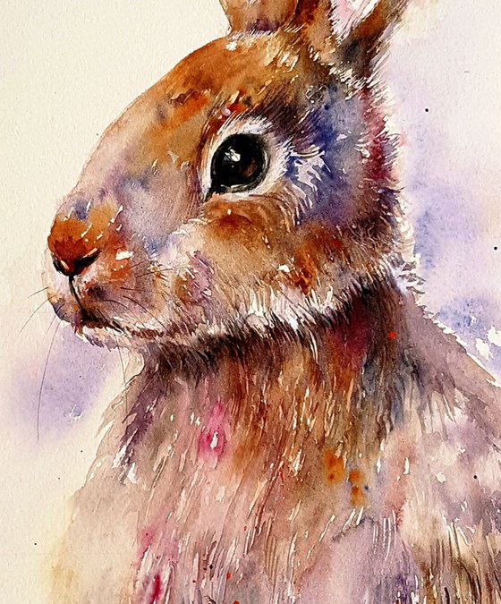 Frisky the Brown Hare