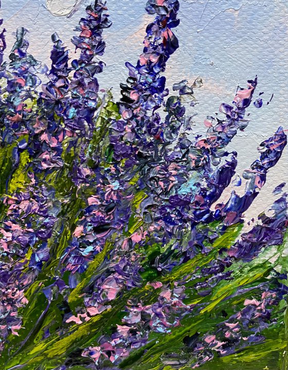 Lavender in the wind