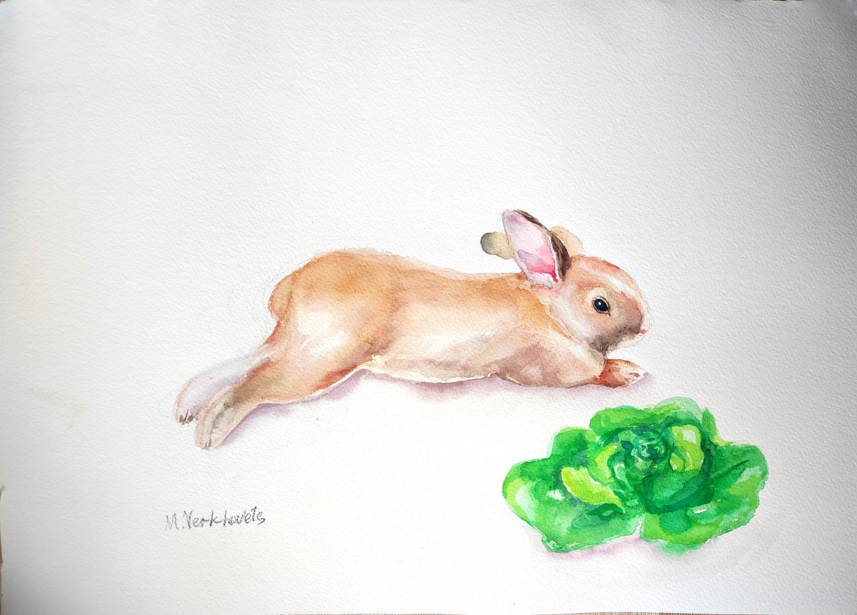 Rabbit. by Mag Verkhovets