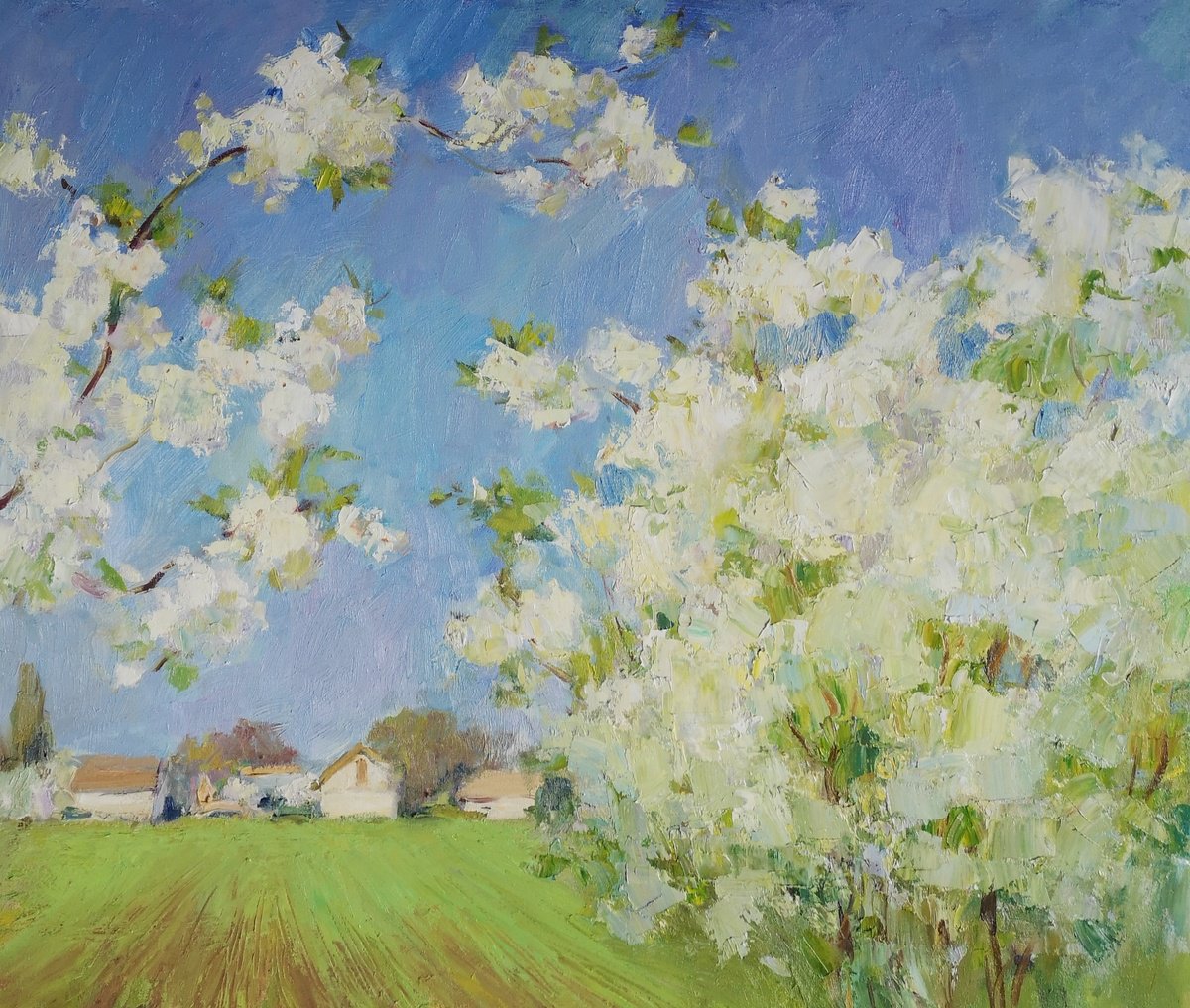 Impressionistic Landscape Oil Painting By Olga Samar, 28 X 24", Spring Fences, Original Artwork