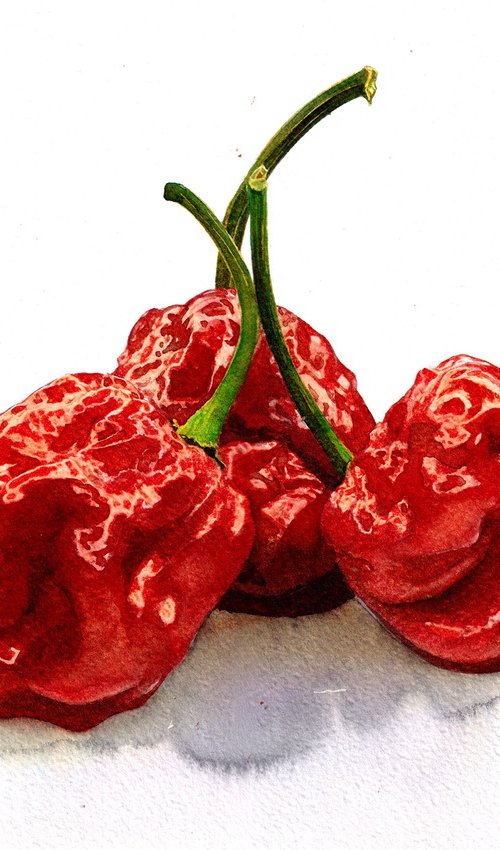 Chilli Pepper Carolina Reaper by REME Jr.