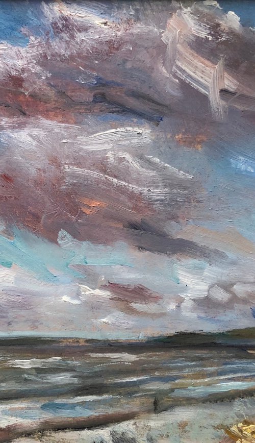 Westward Ho! beach by Zoe Posnett