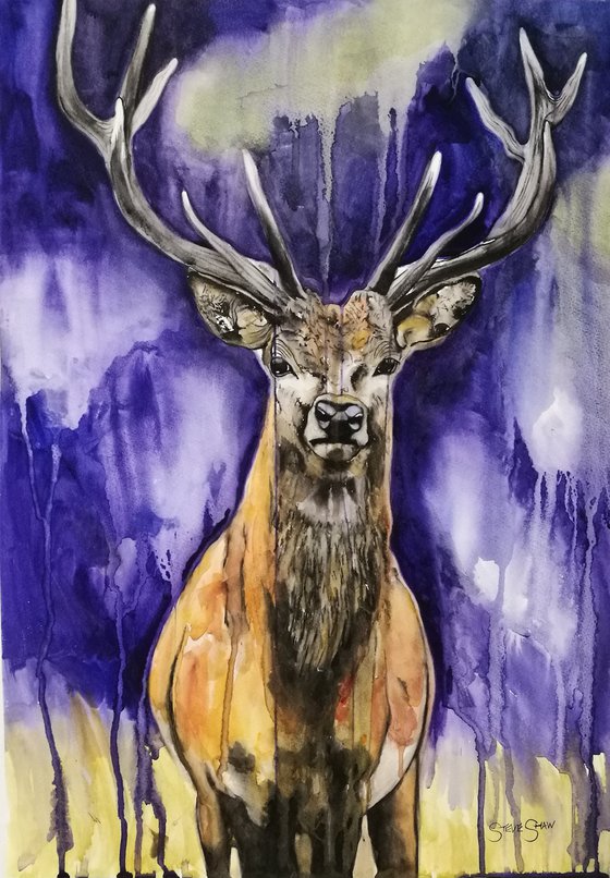 The Stag ( on paper )