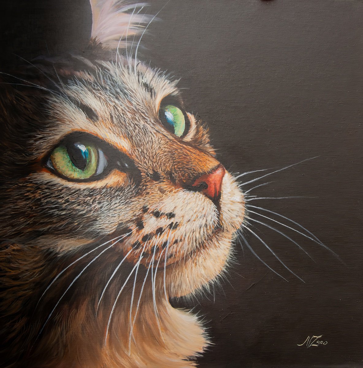 Photorealistic Animal Acrylic Painting By Norma Beatriz Zaro, 12 X 12", Cat Portratit, Original Artwork