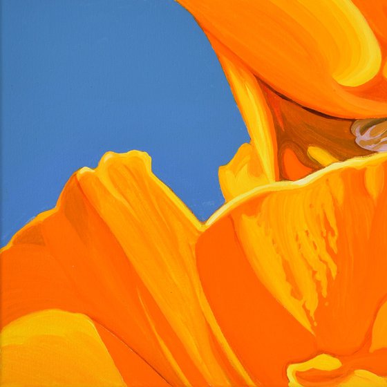 Californian Poppy and Wind #3