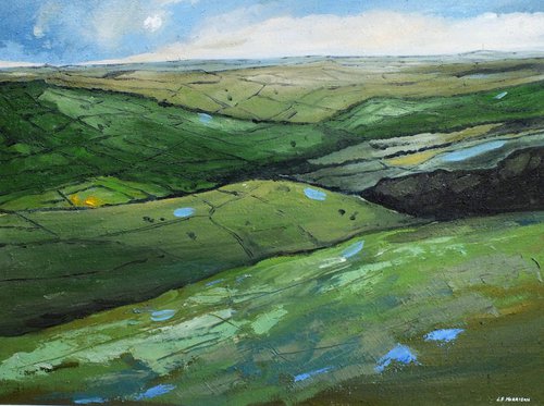 Undulating Hills by Lucy Fiona Morrison