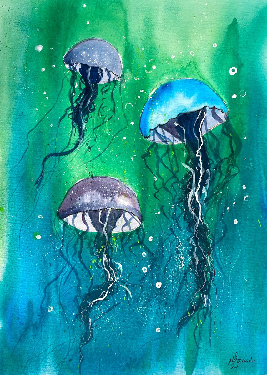 Jellyfish by Teresa Tanner