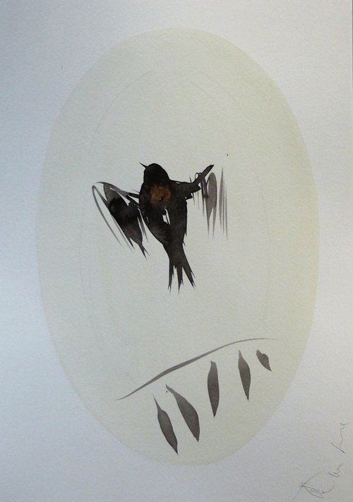 Birds of Carros #4, 29x42 cm by Frederic Belaubre