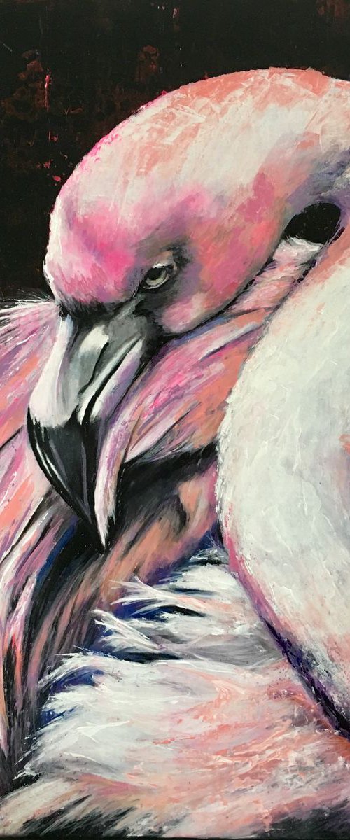 Funky Flamingo by Paul Hardern