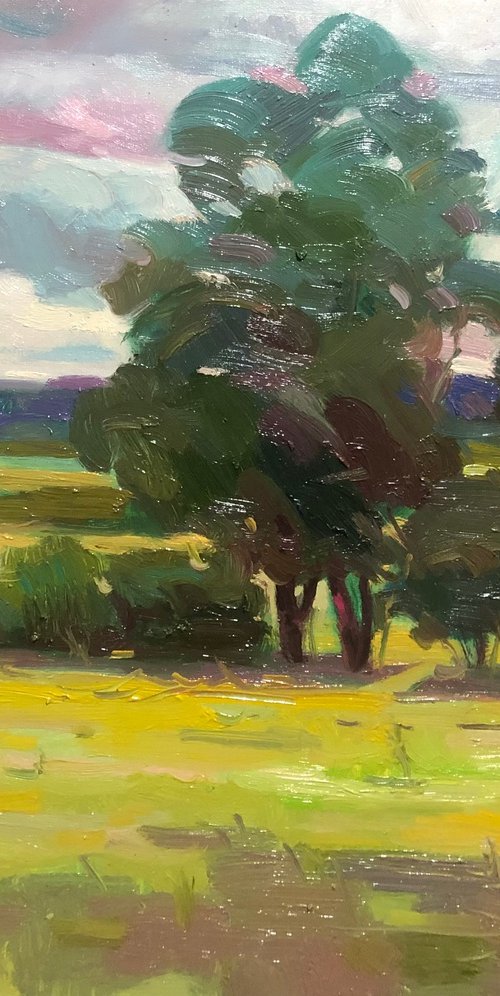 In the meadow by Sergey  Kachin